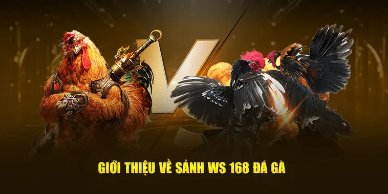 Cách Chơi Đá Gà WS168 Tại 98Win Để Thắng Cược Hấp Dẫn 2 Cách Chơi Đá Gà WS168 Tại 98Win Để Thắng Cược Hấp Dẫn