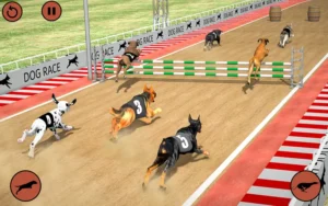 Cách Chơi Game Nhanh Đua Chó Tại 98Win Thắng Lớn Nhanh Chóng