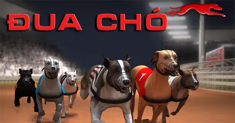 Cách Chơi Game Nhanh Đua Chó Tại 98Win Thắng Lớn Nhanh Chóng 2 Cách Chơi Game Nhanh Đua Chó Tại 98Win Thắng Lớn Nhanh Chóng